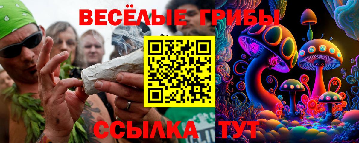 Псилоцибиновые грибы GOLDEN TEACHER Тамбов
